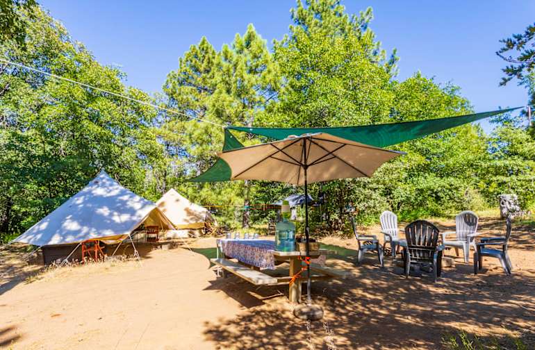 Tree Tent Glamping In Julian Ca Camping
