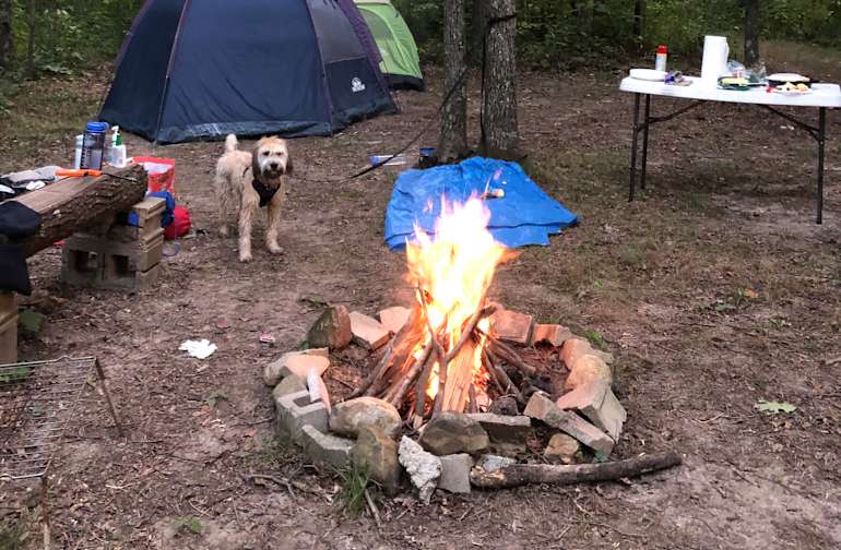 Best Camping In And Near Carlyle Lake