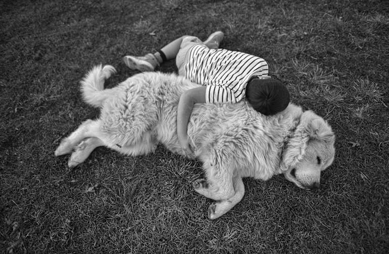 how tall can creature get black and white 1 land 1 how tall can creature get black and white 1 land 1
