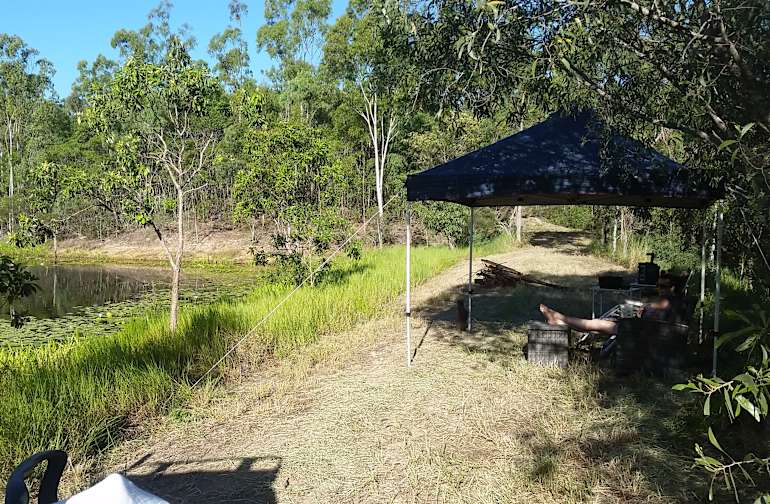 The 20 Best Campgrounds Near Yeppoon Queensland