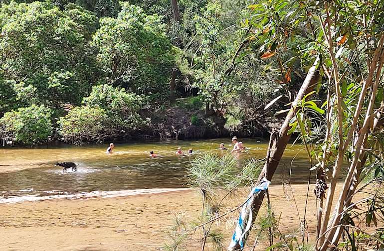 The 20 Best Campgrounds Near Kellyville New South Wales