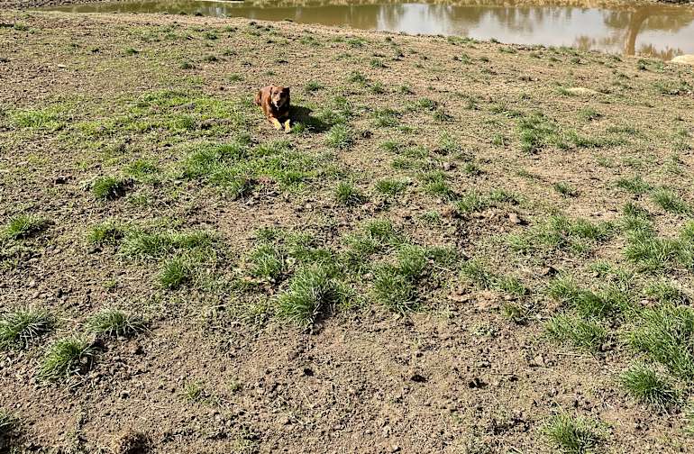 Best Camping In And Near Lake Eildon National Park