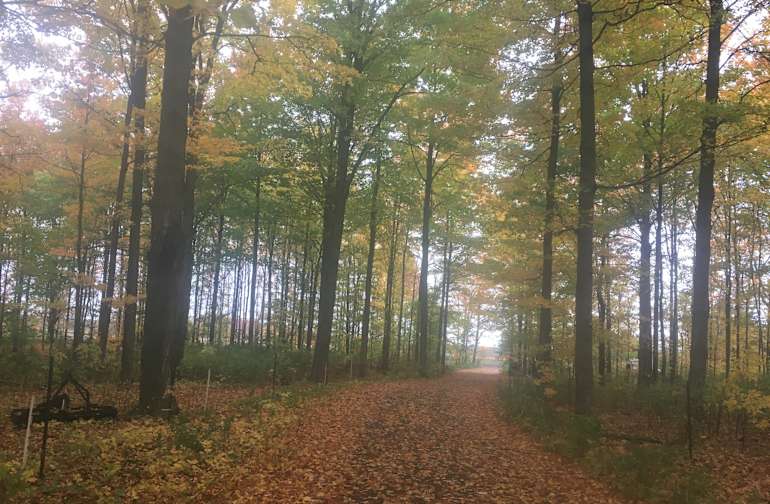 The Best Campgrounds Near Woodstock Ontario The Best Campgrounds Near Woodstock Ontario
