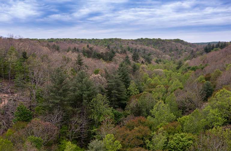 30+ Campgrounds Near Watts Bar Nuclear Plant
