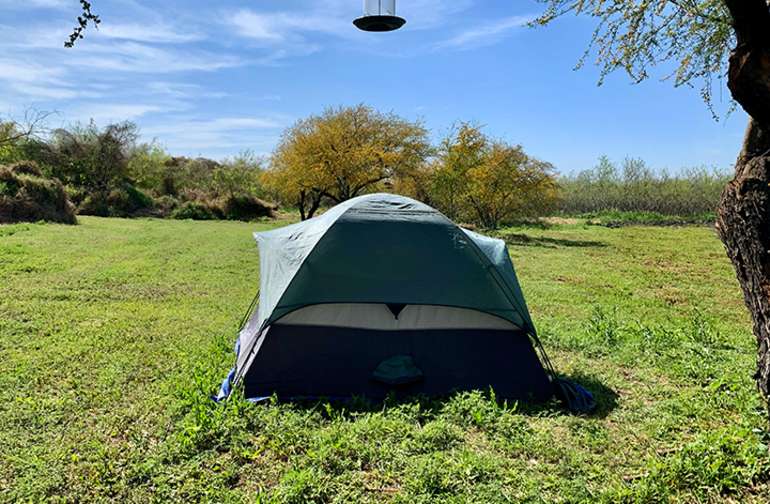 Best Camping in and Near Padre Island National Seashore