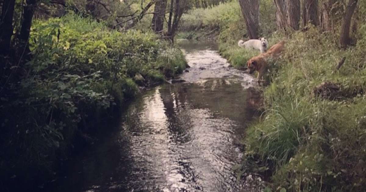 The 30 Best Campgrounds Near Black Earth Wisconsin