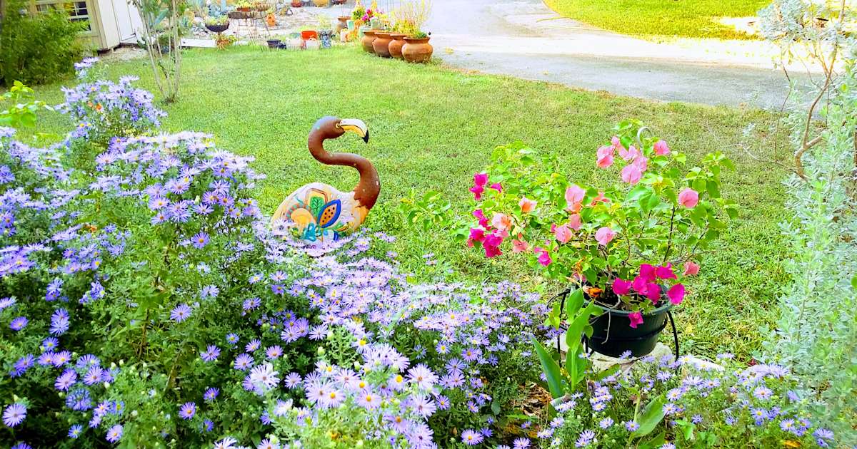 Discover the 30 best campgrounds near San Antonio, Texas