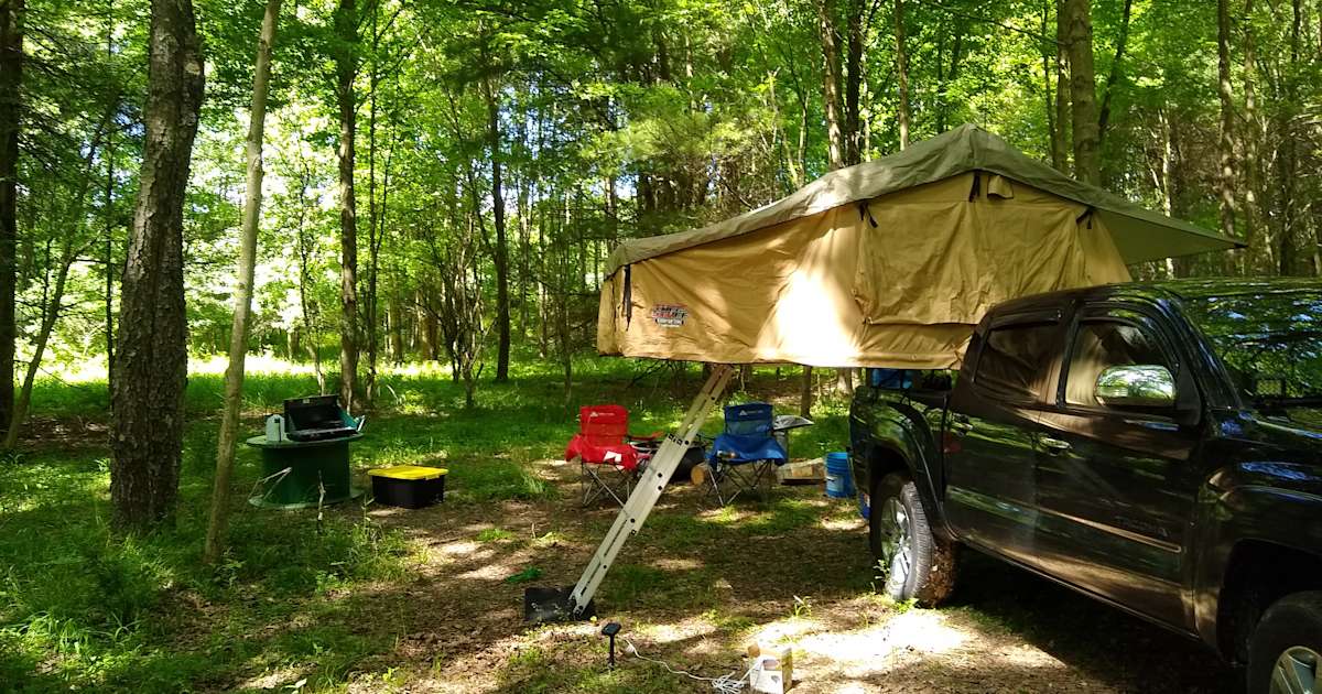 Best Camping In And Near Cook Forest State Park