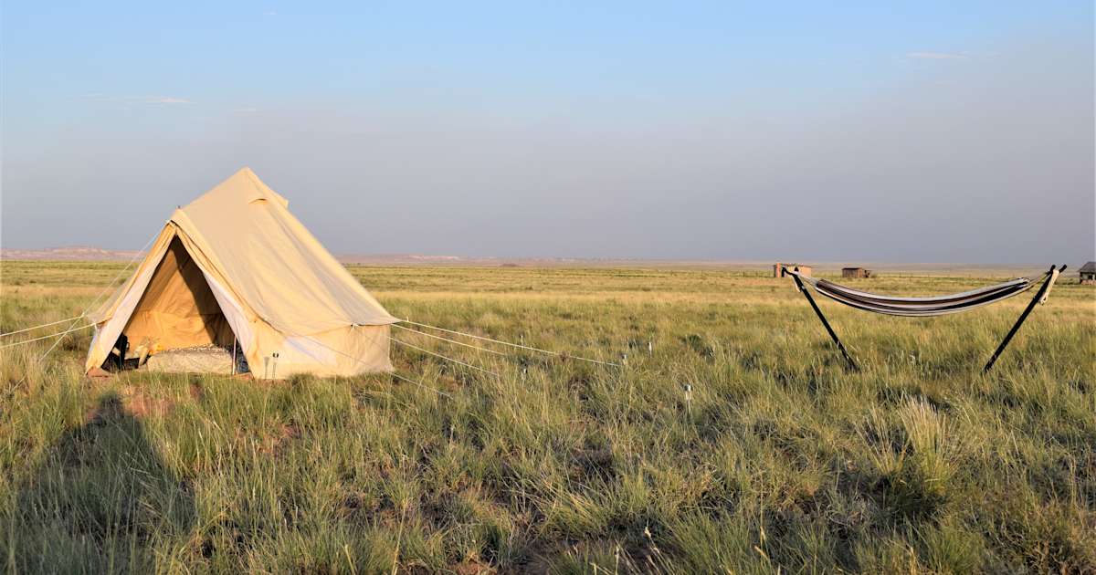 Best Camping In And Near Petrified Forest National Park