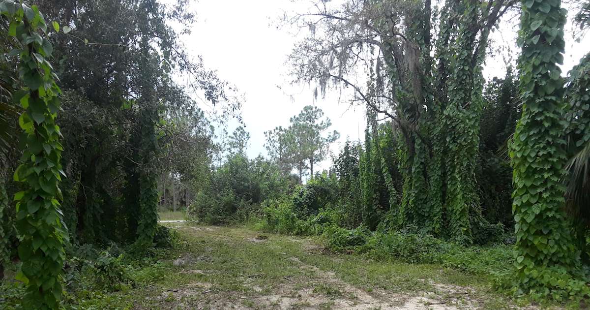 The 30 Best Campgrounds Near Fort Myers Florida