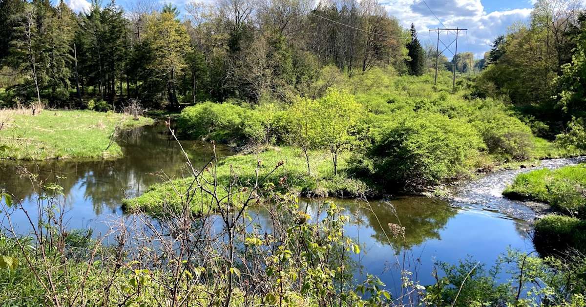 Best Camping On And Near Finger Lakes National Forest