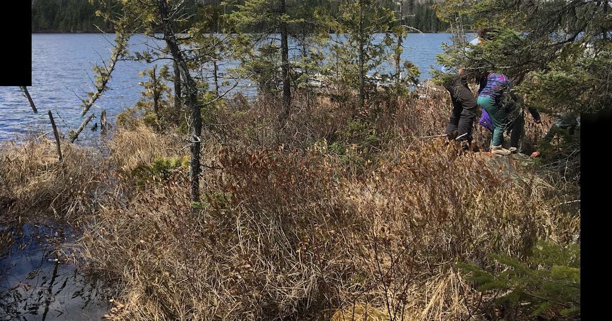 Discover the 30 best campgrounds near thunder bay ontario