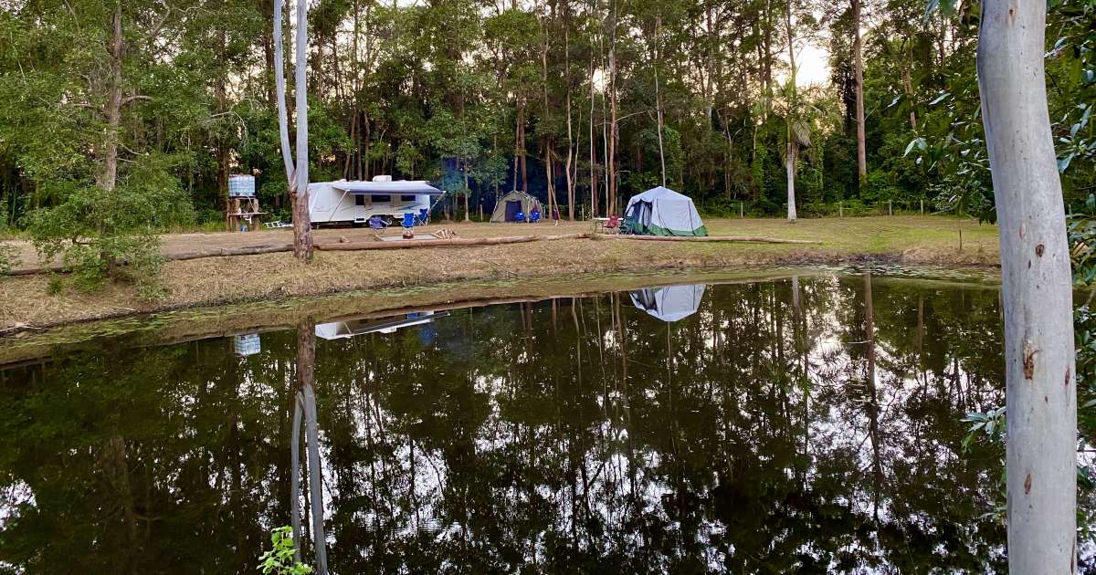 Best Camping in and Near Mooloolah River Park