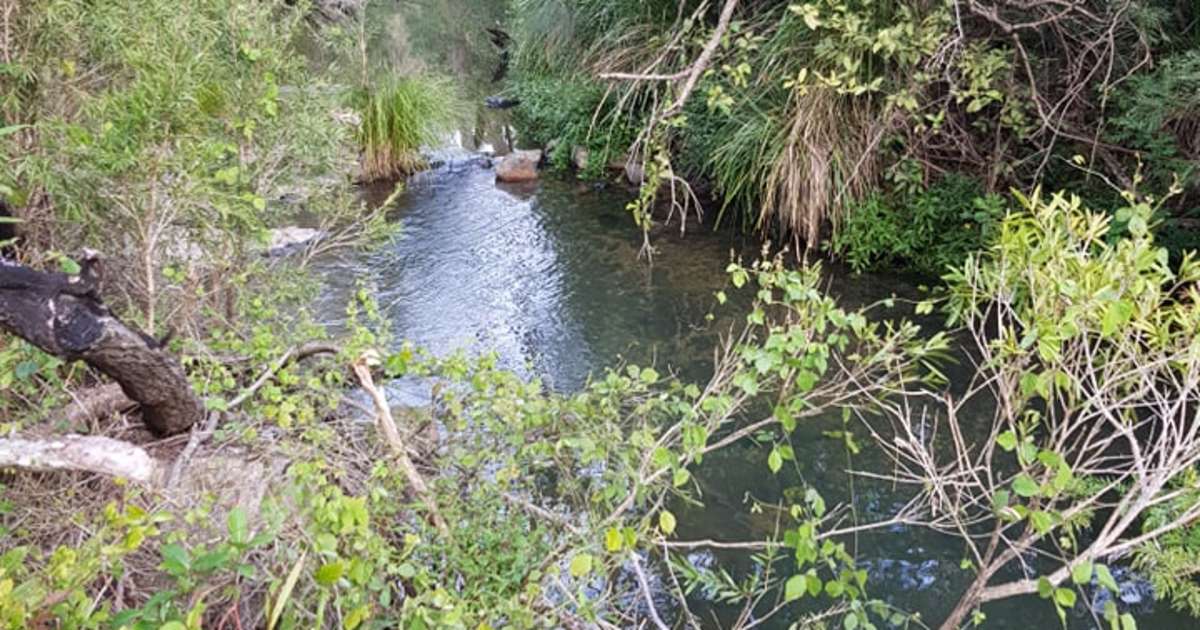 The 20 best campgrounds near Gympie, Queensland