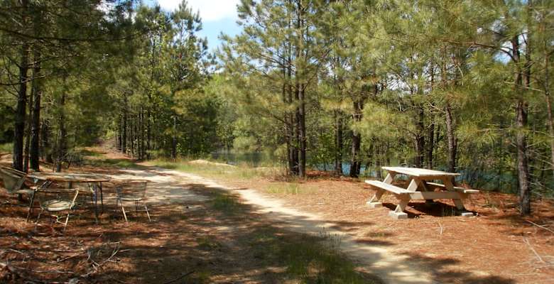 Best Camping In And Near Trap Pond State Park