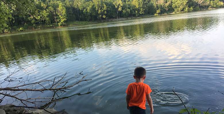 Best Camping In And Near Barren River Lake