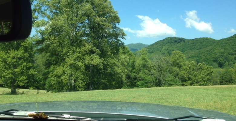 The 30 Best Campgrounds Near Black Mountain North Carolina