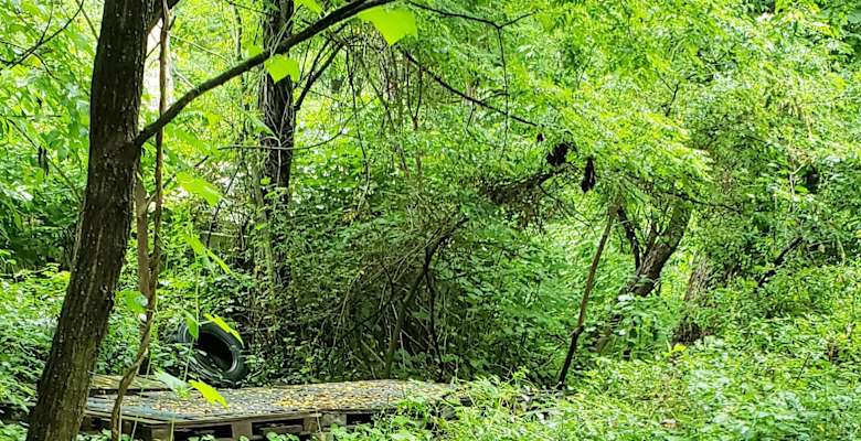 Camping Near Bear Mountain The 20 Best Campgrounds Hipcamp