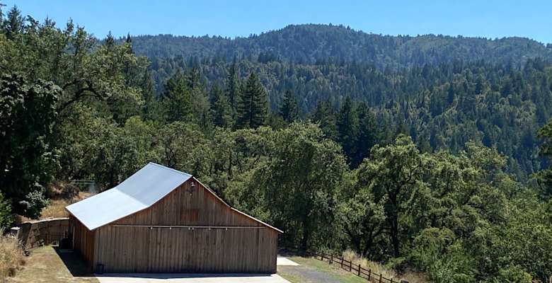 The 30 Best Campgrounds Near Bodega Bay California