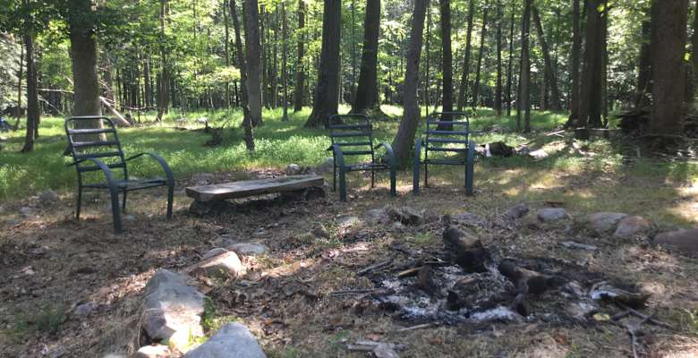 20 Best Camping Spots Around Promised Land State Park