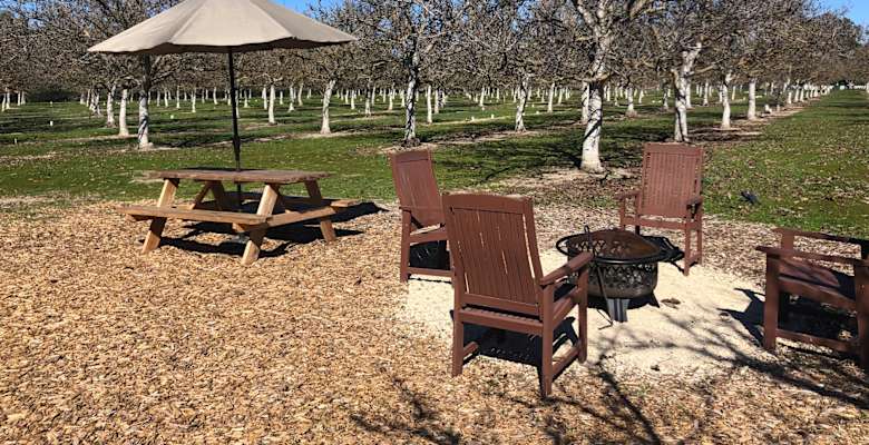 The 30 Best Campgrounds Near Lompoc California