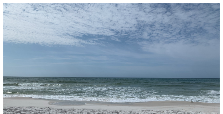 The 30 Best Campgrounds Near Pensacola Florida