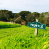 Truffle - Ensuite Grass Pitch