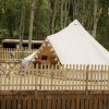 Hare Bell Tent - Stunning Woodland