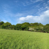 Hawthorn Grass Pitch 1