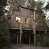 Spa Treehouse Glamping