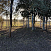 Site 3b Tents only