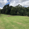 Rainforest Creek Group Site