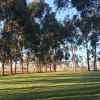 Hampton Park - Green Grassed Site