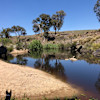 Tarinore Farm  Under the Elms (4WD)