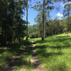 Gum Tree Gully Camp (4WD Only)