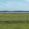 Site 1 - Leschenault Farm Estuary Campsites