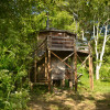 Tower Cabin