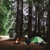 Redwood Camp #1