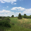 Grassy Meadow