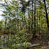 Dockside Bluff