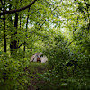 15 Acre Wood on Lake