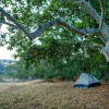 Sycamore Arch Tent Site