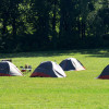 Camp at 7C's Winery - Tents or RVs