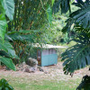 Hawaii Bamboo Grove Cabin