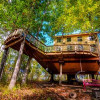 Pete NelsonTreeHOUSE-off the grid