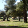 Stallion Oaks Ranch ~Tent Site