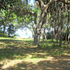 Site 11 - A Bit Of Paradise Camping