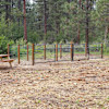 #3  Campsite-Bring your own tent