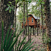 Treehouse Cabin Retreat