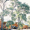 #3 - Log Cabins